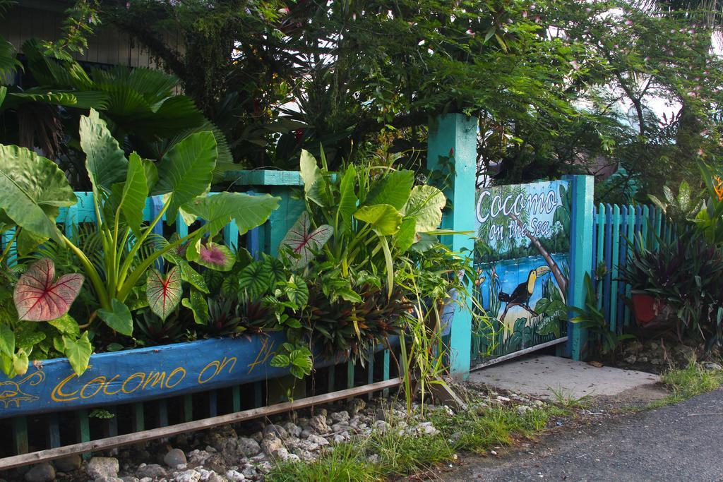 Cocomo On The Sea Bed & Breakfast Bocas del Toro Luaran gambar